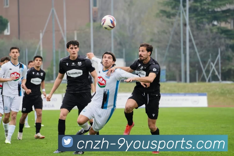 多媒体互动体验